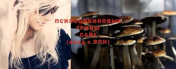 экстази Гусь-Хрустальный