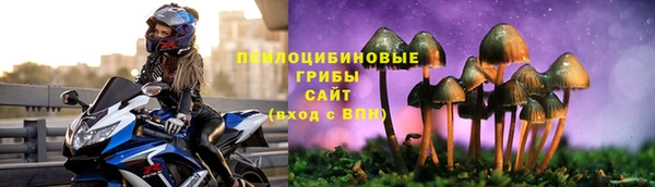 экстази Гусь-Хрустальный