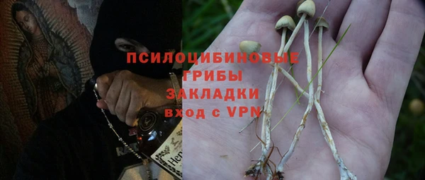 каннабис Гусев