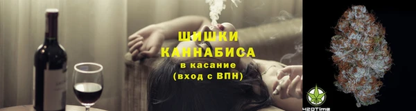 дурь Гусиноозёрск