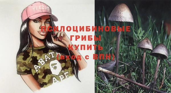 каннабис Гусев