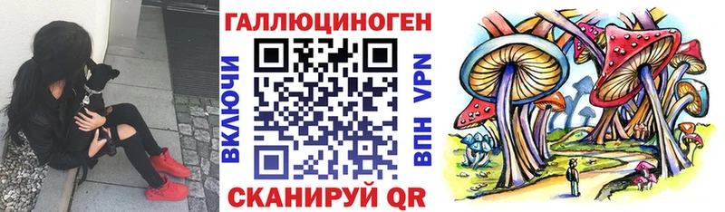 Галлюциногенные грибы Psilocybine cubensis  гидра ONION  Октябрьский 