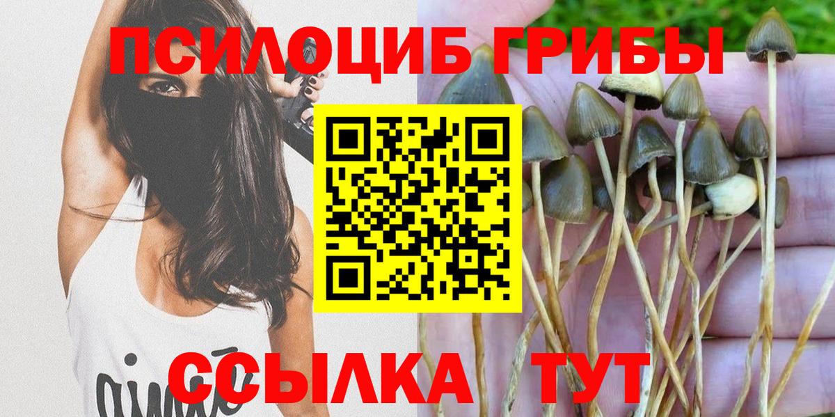 Галлюциногенные грибы Cubensis Октябрьский